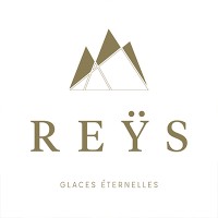 REŸS logo - Similar company to Logidév Solutions