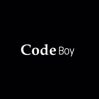 Code Boy logo - Similar company to Chameleon E-Invoice Software
