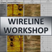 Wireline Workshop logo - Similar company to American Legacy Holding