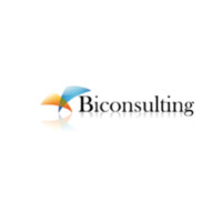 BICONSULTING logo - Similar company to Evalue Innovación