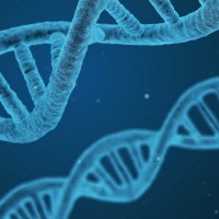 NSGC Student/New Member SIG logo - Similar company to International Society Of Pre-Health Researchers