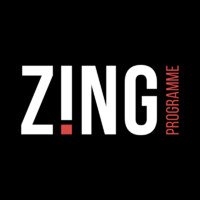 Zing Programme logo - Similar company to Nous Cims Foundation