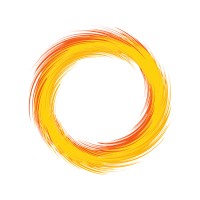 Solar Pros logo - Similar company to Palm Connect