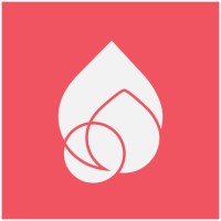 Nimble Digital logo - Similar company to 12 Creative