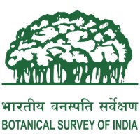 Botanical Survey of India logo - Similar company to Mallikarjun School