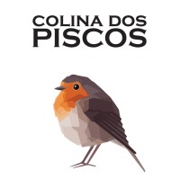 Colina dos Piscos logo - Similar company to Bsd - The Best Solution Design