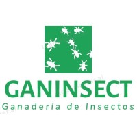 Ganinsect