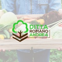 Ditta Romano Andrea logo - Similar company to Spugnificio Meridionale S.A.S.