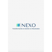 NEXO Consultora Integral logo - Similar company to Em Desarrollos