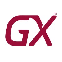 GXConsultores logo - Similar company to Netsul