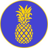 Ananas Media logo - Similar company to Zebra Blind