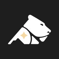 LionRun Consulting logo - Similar company to Radarzero