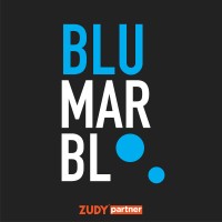 BluMarbl logo - Similar company to Vetsocial
