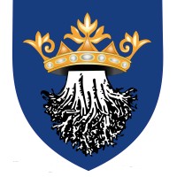 Brasov Travel logo - Similar company to Crisoft