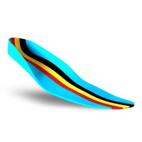 BORGinsole logo - Similar company to Aasys