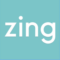 Zing.ba logo - Similar company to Bloomteq
