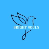 Bright Souls Foundation logo - Similar company to Transform Digital Studios