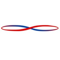 Logicvein