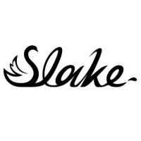 Slake Private Limited logo - Similar company to Christ Methodist Church