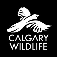 Calgary Wildlife Rehabilitation Society logo - Similar company to Nature Alberta