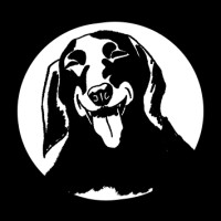 Little Pup Production logo - Similar company to Giant Rebels