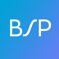 BSP Berner Schaeffler & Partners GmbH logo - Similar company to Dr. David Hoeflmayr