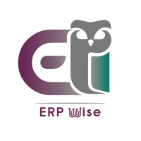 ERP WISE logo - Similar company to Numidit