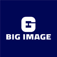 BIG IMAGE logo - Similar company to Networb