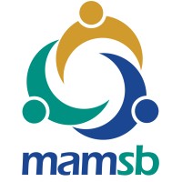 Malaysian Association of Money Services Business (MAMSB) logo - Similar company to Insight Data Vista