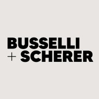 Busselli Scherer logo - Similar company to Hydrocell