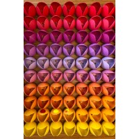 Tulip Cycle Wands logo - Similar company to Busisoft Pty Ltd