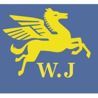 Weijun Toys logo - Similar company to Essachina - Toys & Non-Food Products Supplier