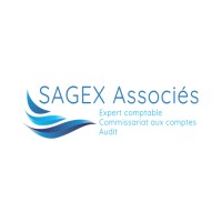 SAGEX ASSOCIES logo - Similar company to New-Vision