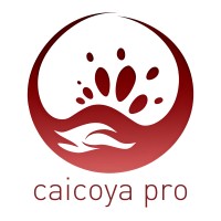 Caicoya Pro logo - Similar company to Contigo