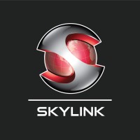 Skylink Motor logo - Similar company to Advanced Dynamics
