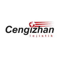 Cengizhan Lojistik logo - Similar company to Teleset Group