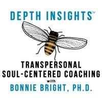 Depth Insights logo - Similar company to Mycelial Media