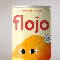 Flojo logo - Similar company to Dynamic Gift Nz