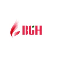 Bgh Group (China)