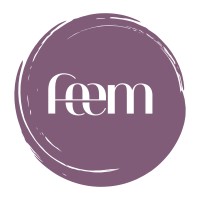 FEEM logo - Similar company to Kruiswerk Achterhoek En Liemers