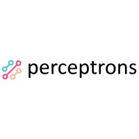 Perceptrons logo - Similar company to Kukoo Analytica