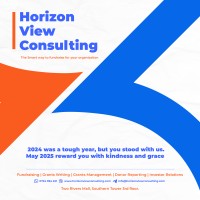Horizon View Consulting logo - Similar company to Leanmed, Llc