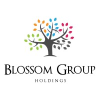 Blossom Group logo - Similar company to Teamuk