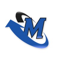 Master Shares logo - Similar company to Love Peace Harmony Foundation