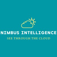 Nimbus Intelligence Consulting logo - Similar company to Provelio