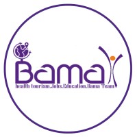 Bama Team logo - Similar company to Afaghsoft