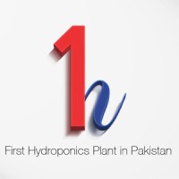 First Hydroponic Pakistan logo - Similar company to Future Agritech