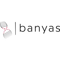 Banyas logo - Similar company to Mindthegap Consultancy