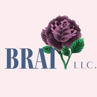BRAIV logo - Similar company to Caresms
