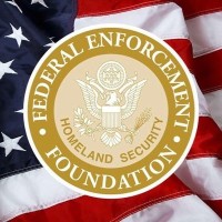 Federal Enforcement Homeland Security Foundation logo - Similar company to Amyna Systems Inc.